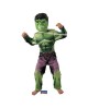 Kostým Hulk L